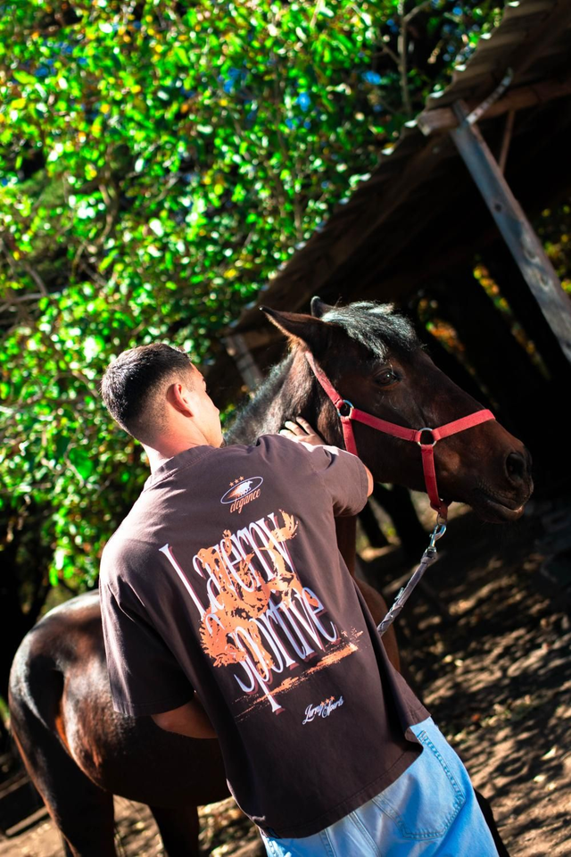 Elegance Horse